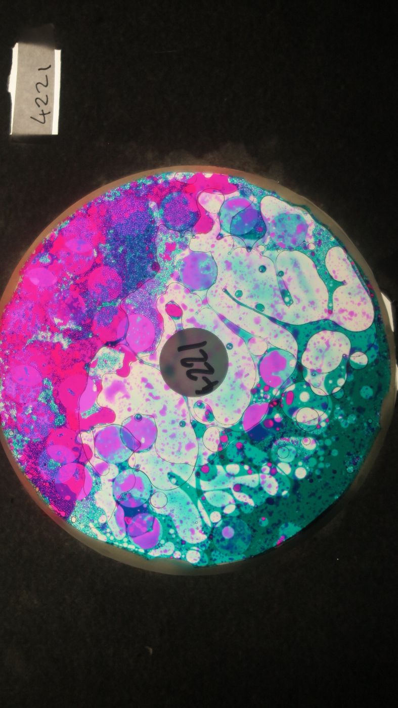 BV4221 bubble vision oil wheel